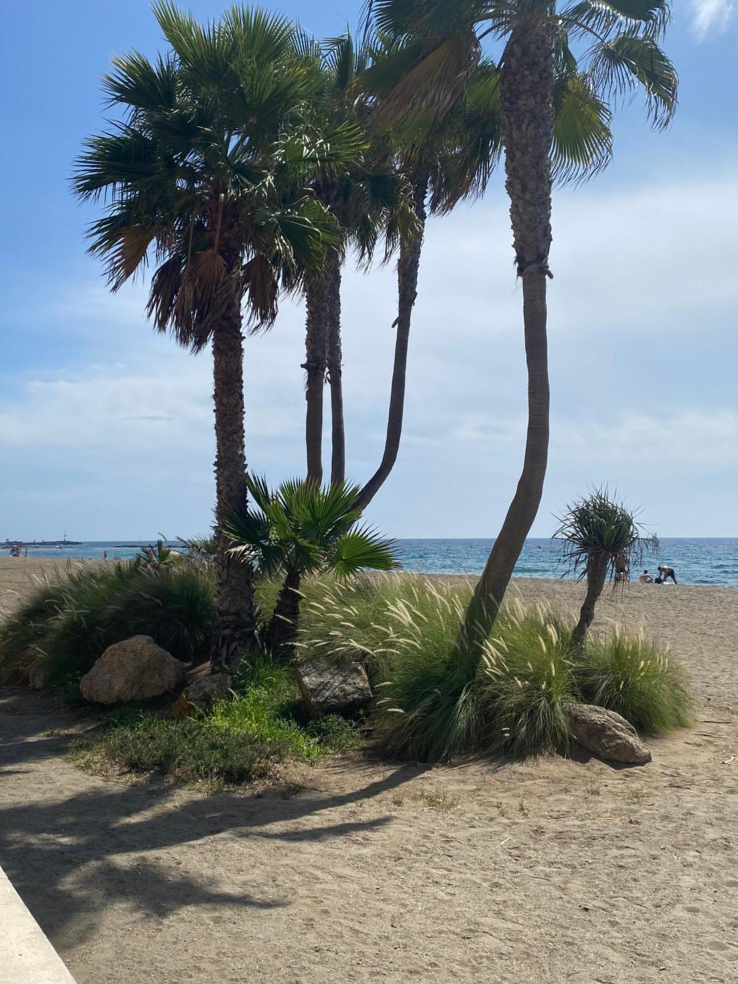 Almeria Playa Zapillo Экстерьер фото